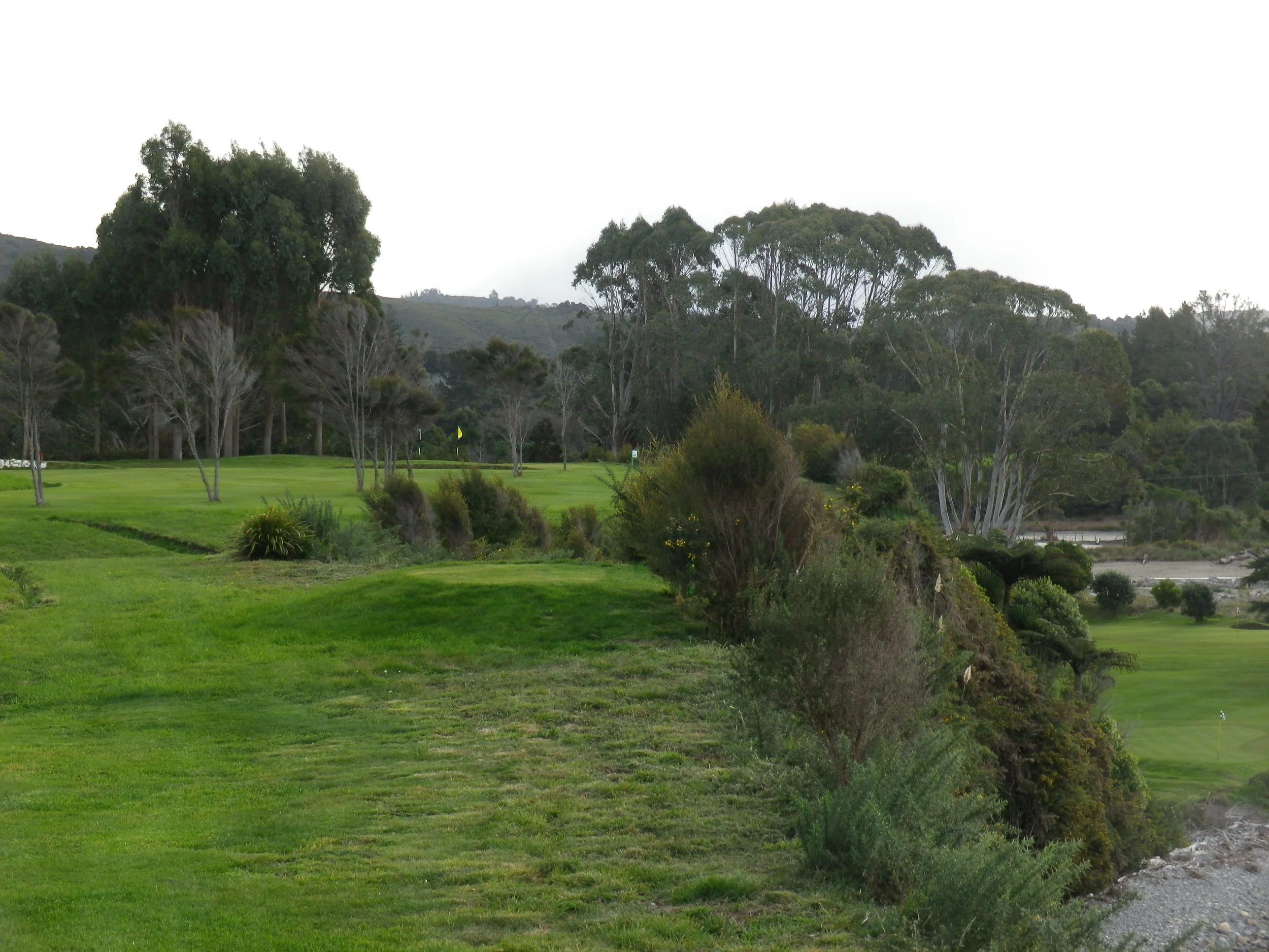 View from the tee
