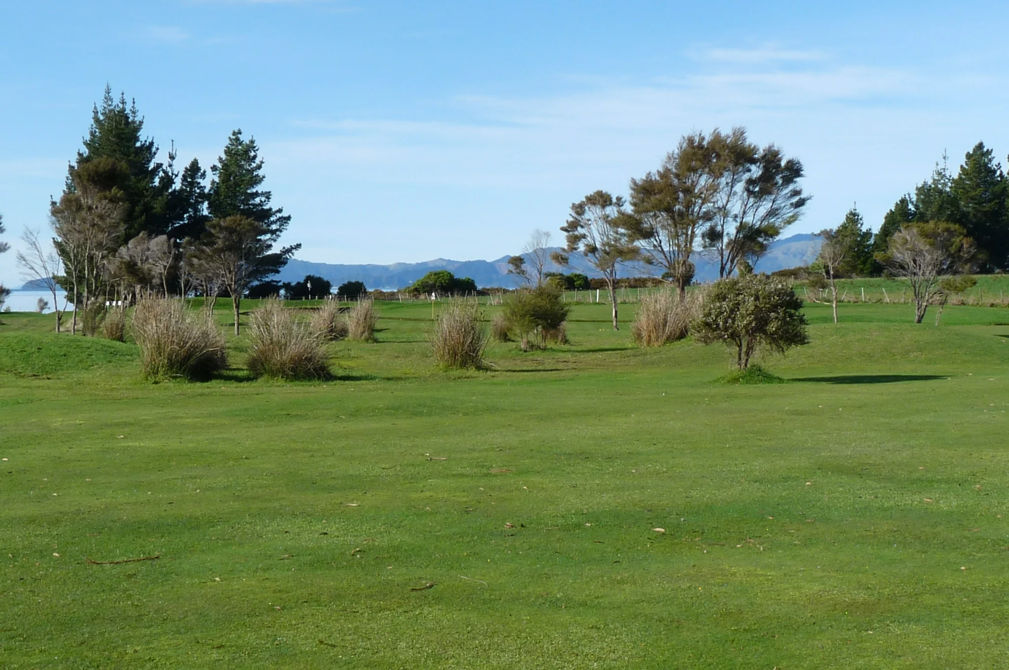 Lack of view from the tee