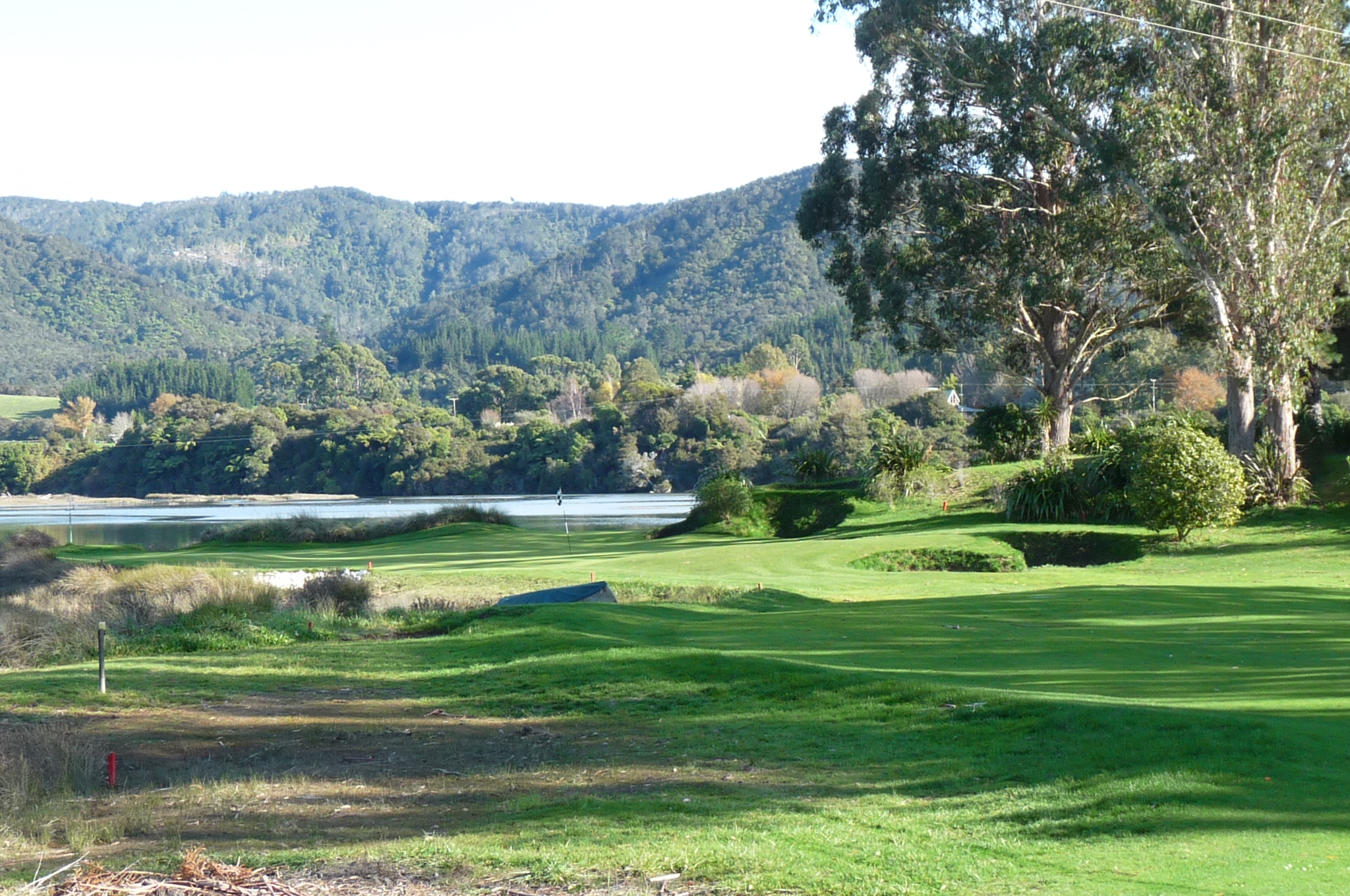 View from front tee