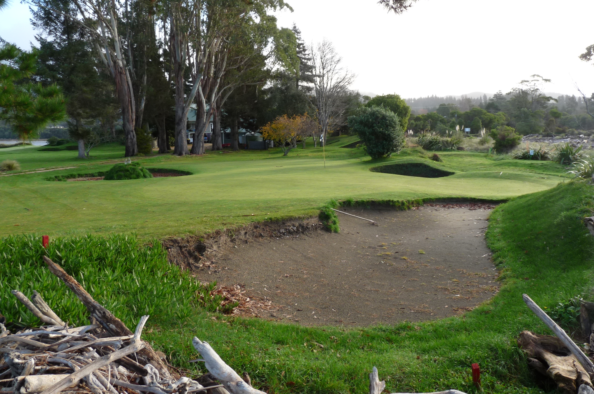 Greenside bunkering.jpg