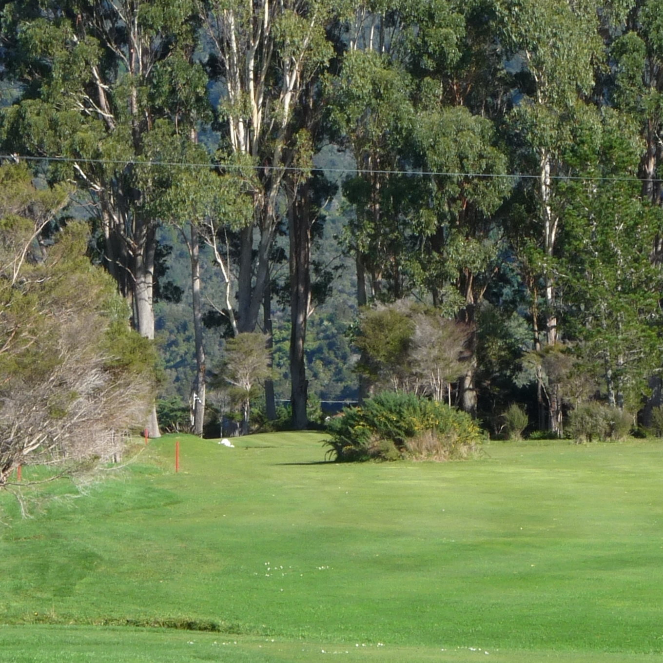 View from the tee