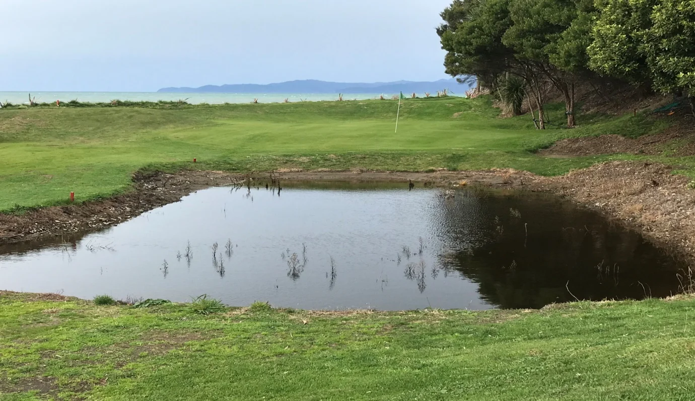 Quite a new pond but already being populated by visitor’s golf balls. 