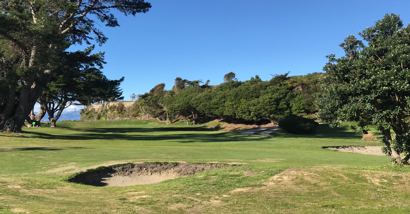 View  from the tee – the ideal line is over the punga fern on the cliff edge