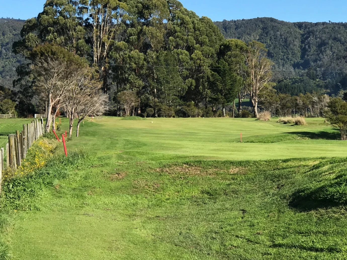 View from the tee