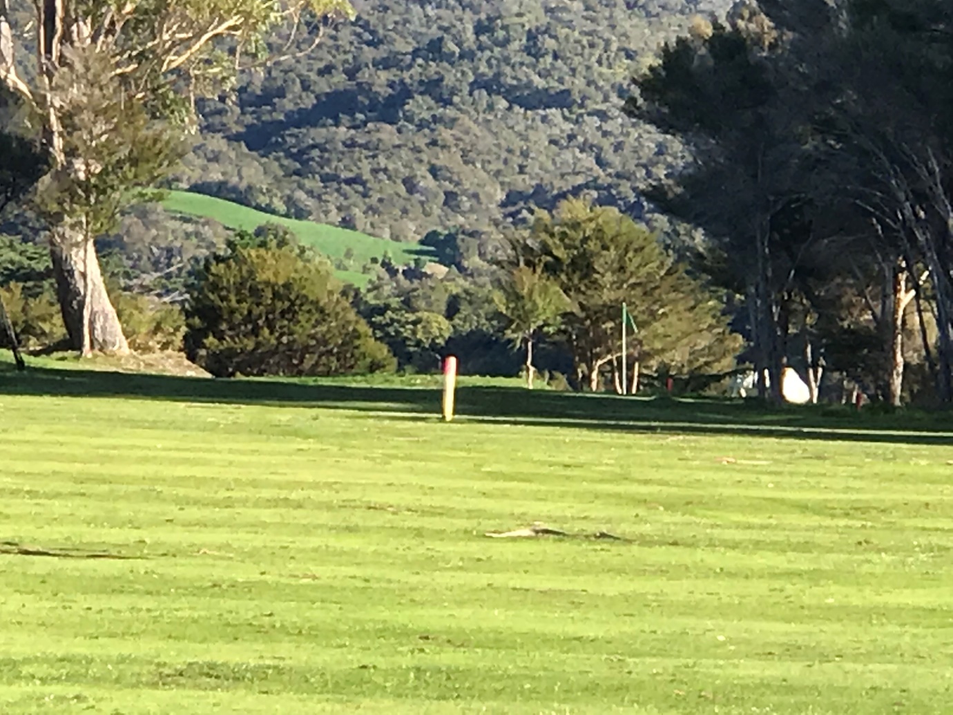 Limited view of green from fairway