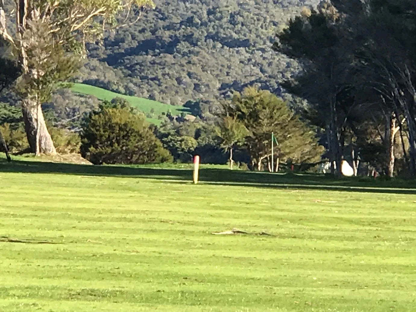 Limited view of green from fairway