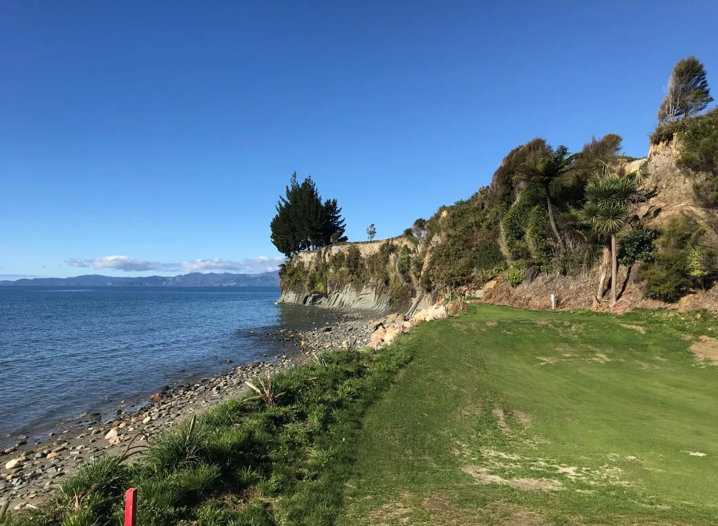 Tee shot