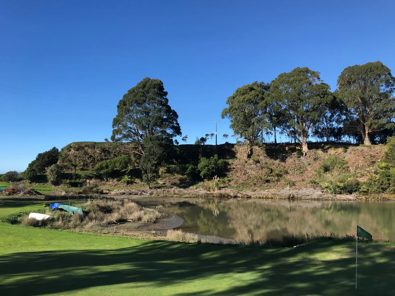 Tee shot - slightly left of the power pole is good. Or over the trees if you like.