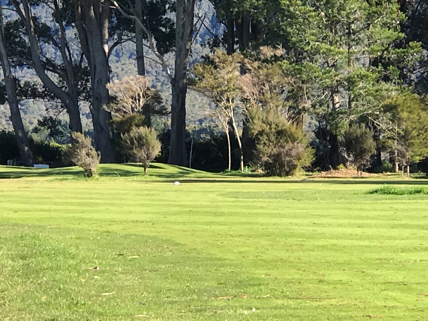 Trees right, pond left.  Invisible pin is in there somewhere. Good luck again.