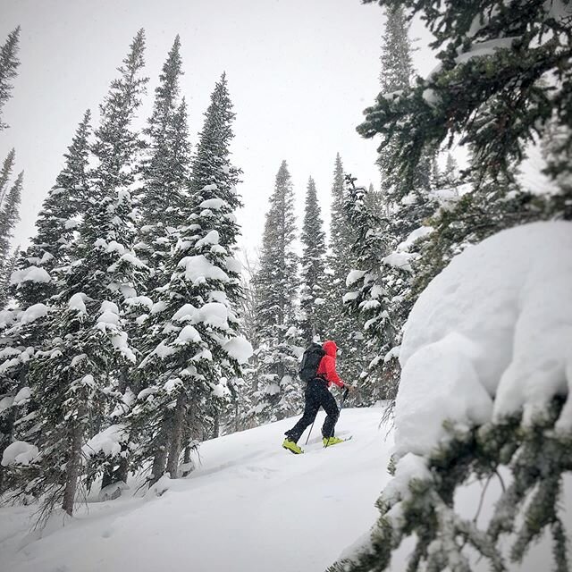 &ldquo;Go ahead, I&rsquo;m gonna take a photo&rdquo; is my favorite excuse to snag a break. I don&rsquo;t think I&rsquo;m fooling anyone, but appreciate my partners always and convincingly playing along.