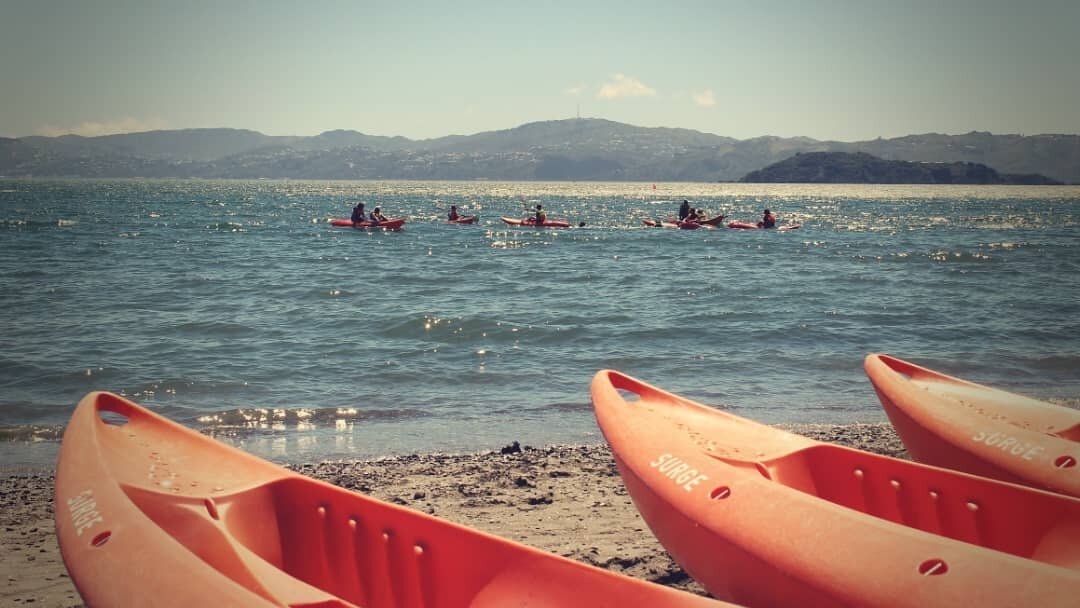 awesome weather at Wildfinder Days Bay today! fingers crossed the sun stays for the summer! ☀️👌🛶

#wildfinder_nz #daysbay #summer