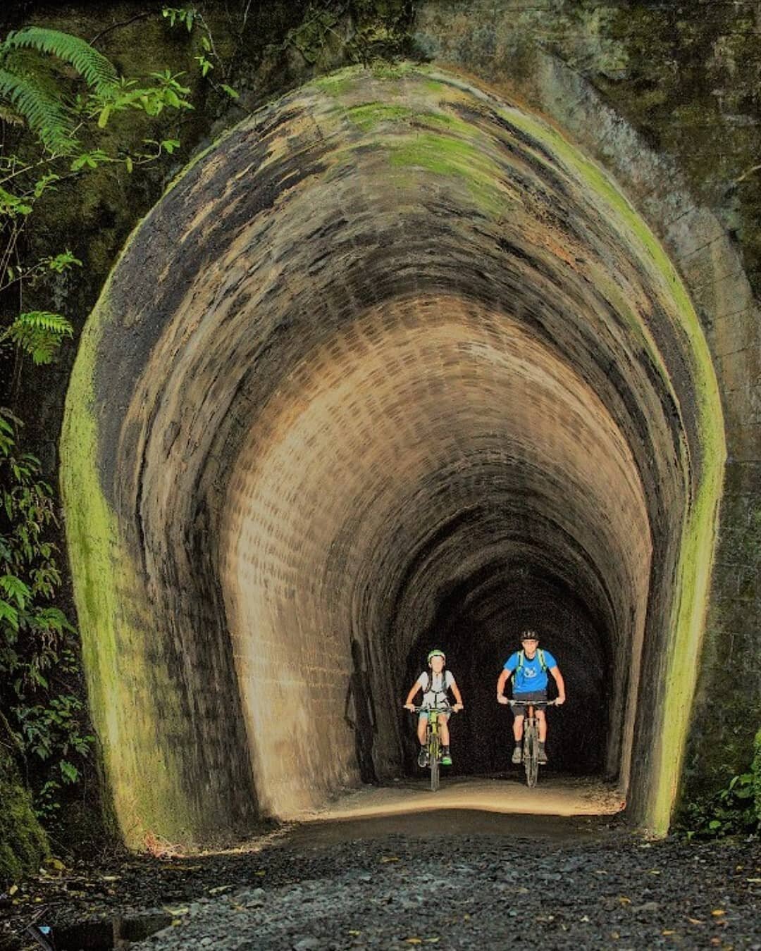 Excited to announce our new site Wildfinder Kaitoke is opening this weekend! Explore the fantastic Remutaka Rail Trail with bike &amp; ebike hire &amp; shuttles, all from the convenience of Kaitoke car park! for more info &amp; to book in check out w