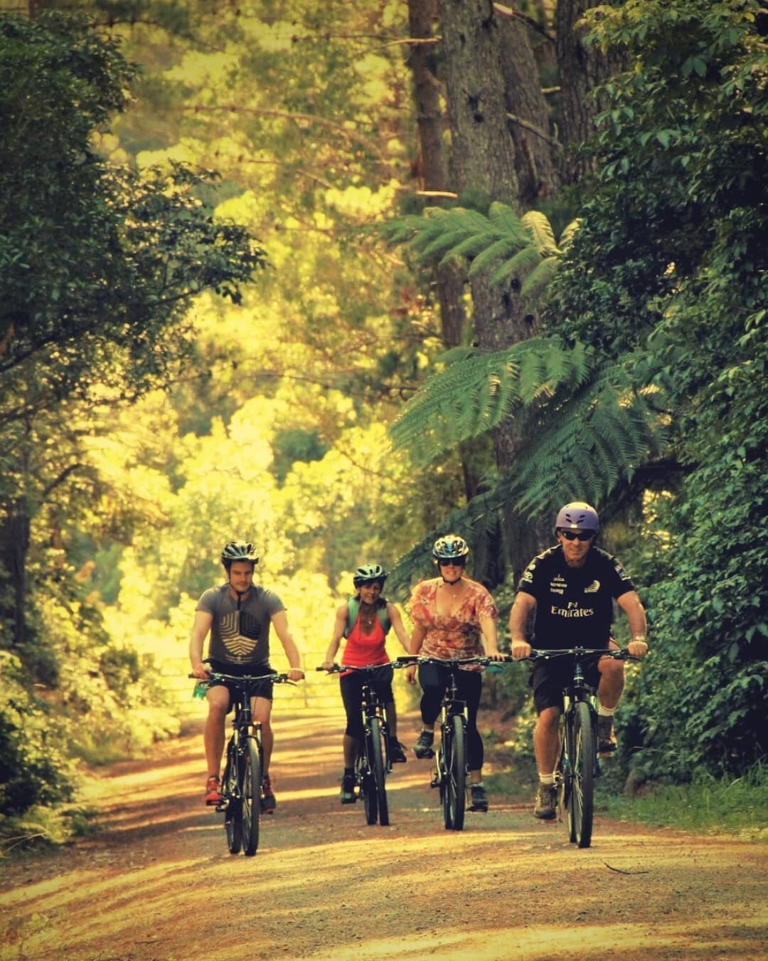 The Pakuratahi Forest is so beautiful! Explore this awesome native bush by riding the Remutaka Rail Trail with bike &amp; ebike hire from our new site at Kaitoke! Open every day from Boxing Day onwards 👌🚴&zwj;♀️ book online at:
www.wildfinder.co.nz