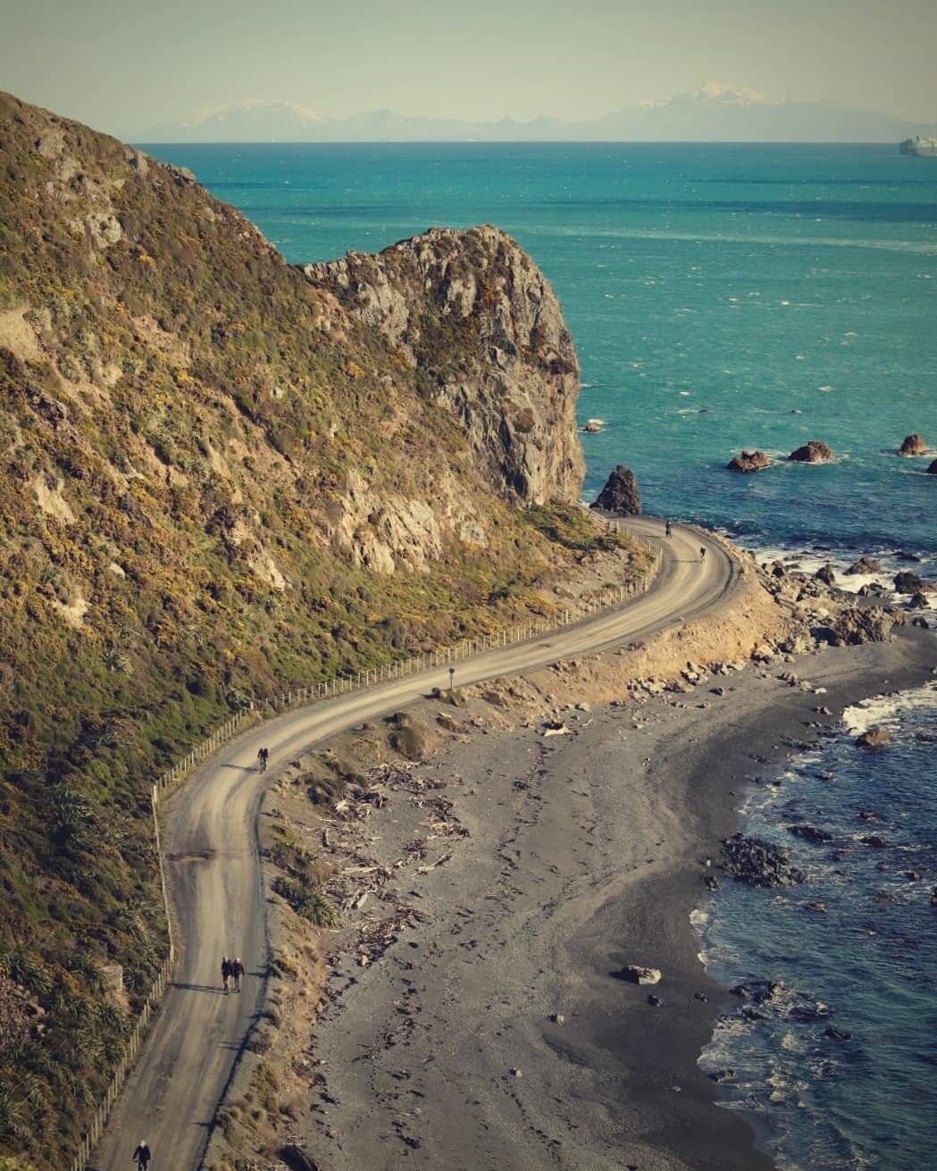 At last the weather is starting to clear this week! We highly recommend booking ahead, especially if you want an eBike! We're open every day from 10am 👌🚴&zwj;♀️☀️
www.wildfinderpencarrow.co.nz

Photo credit: Kim Adamson

#wildfinder_nz #pencarrow #