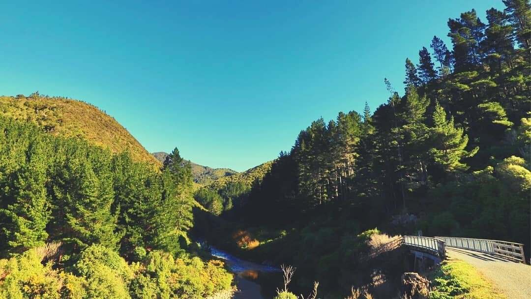 when was the last time you discovered something new? #explore the incredible remutaka rail trail with bike or ebike hire at kaitoke 👌 this view from ladle bend is simply stunning!

book online at www.wildfinder.co.nz/kaitoke

📷photo credit: kim ada