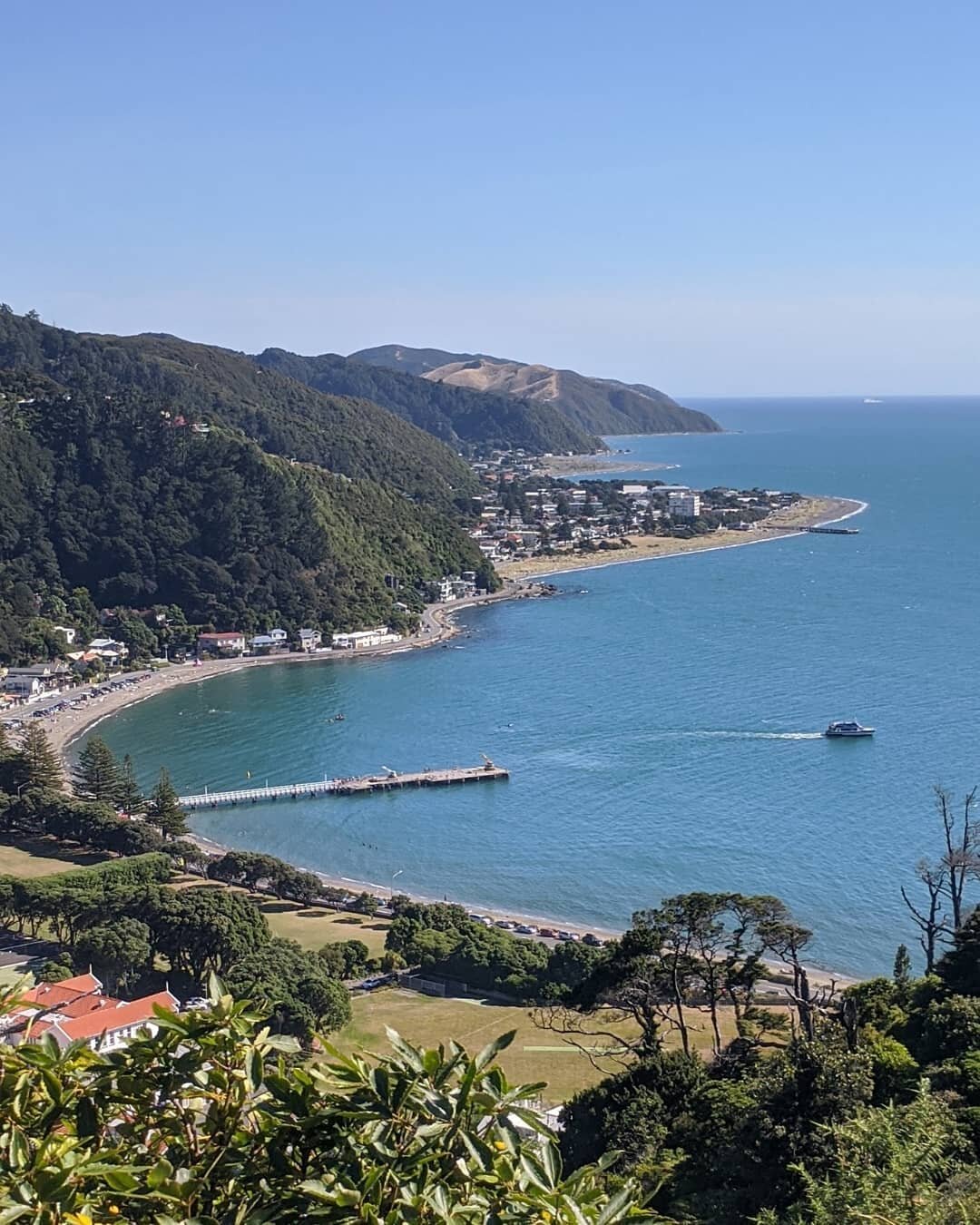 Days Bay looking beautiful today! who's up for a kayak or paddleboard? ☀️🛶👌

#wildfinder_nz #daysbay #summer