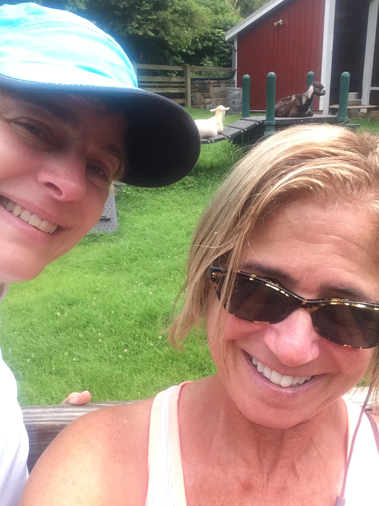 Chillin with the goats at the zoo this morning after a downpour. No issues walking - I feel great.