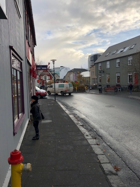  Downtown Reykjavik 