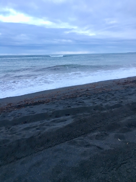  The black sand beach at Ölfus 