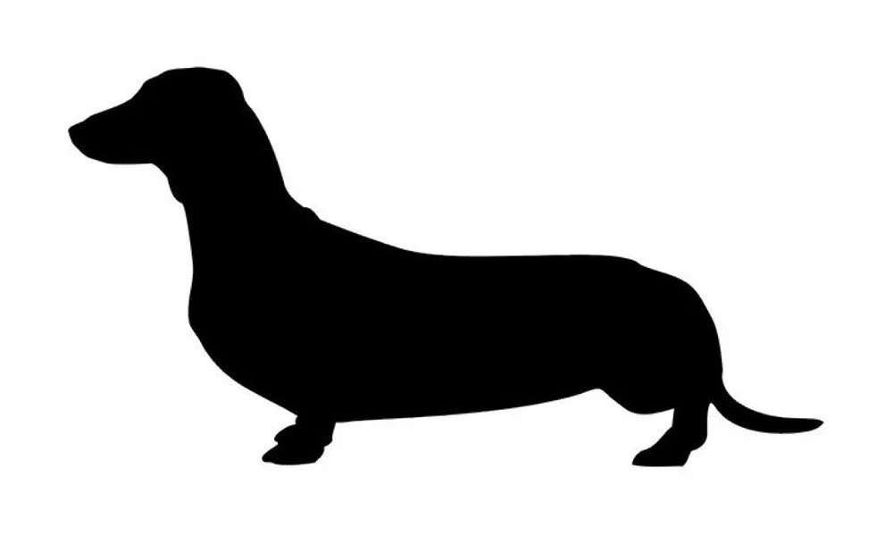mini+doxie.jpg