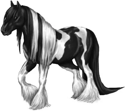 toppng.com-28-collection-of-gypsy-vanner-horse-drawing-gypsy-horse-404x358.jpg