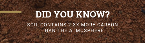 DID YOU KNOW_ Soil.png