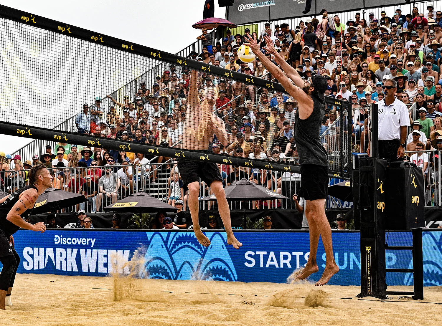 dsc_sw_2019_avp_2.jpg