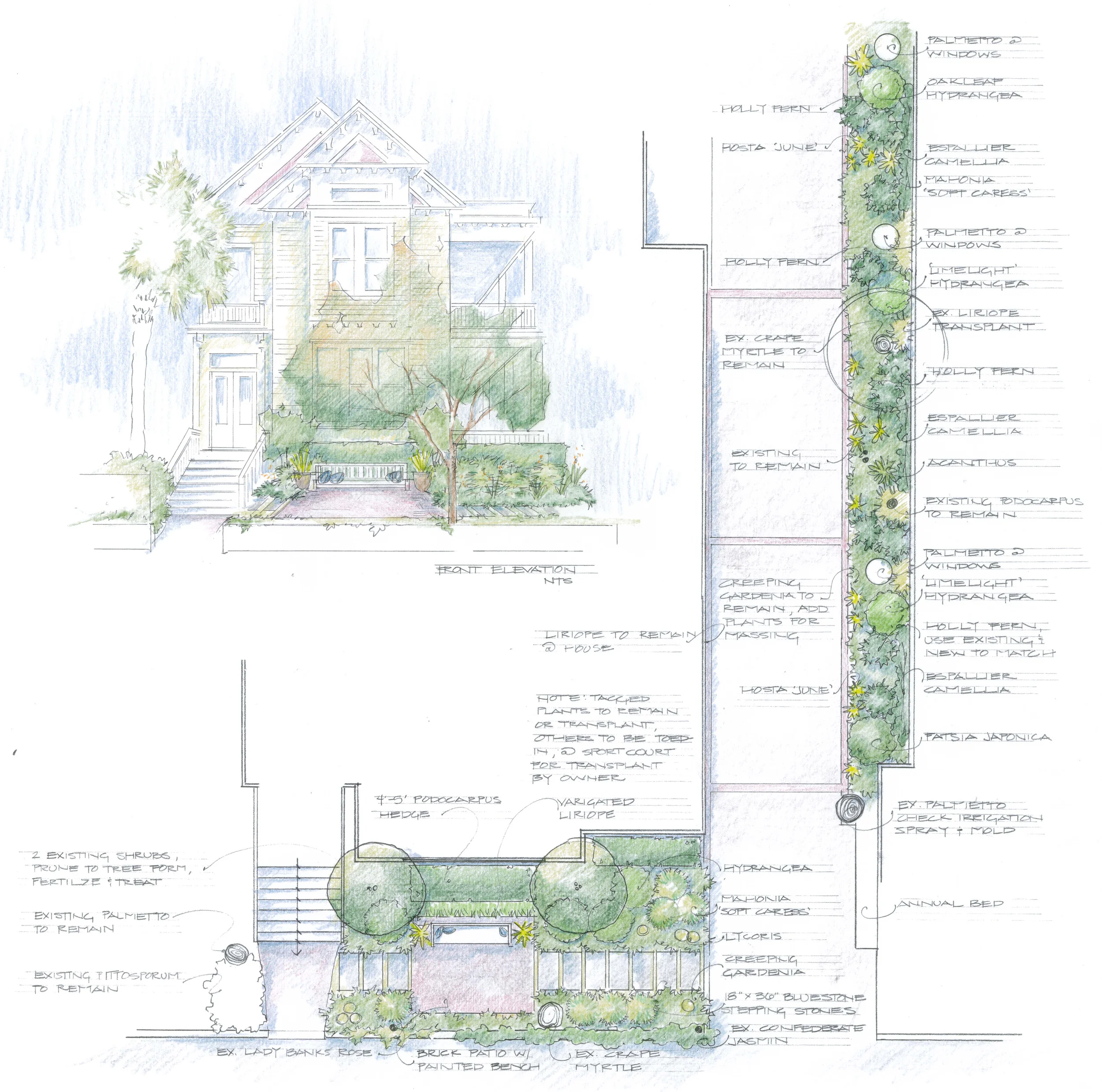 Dopp Front Entry Plan.jpg