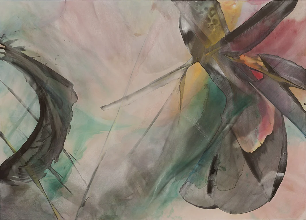 Be the Peak You Cannot See , 2013-14 Acrylic on polyester 51 x 71 inches 