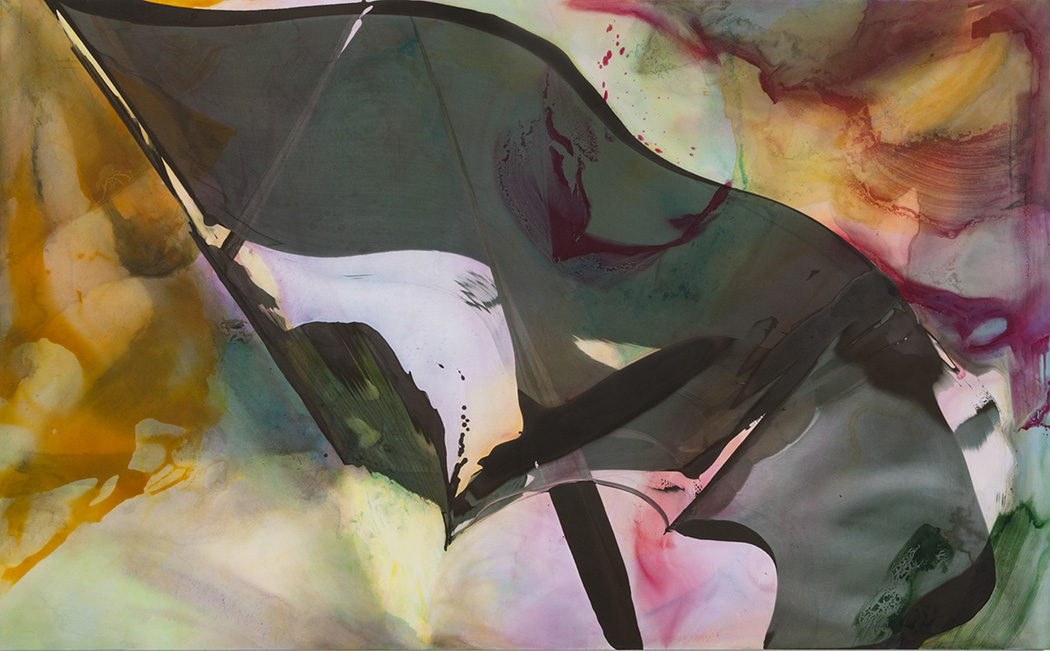 Coil Out Exo , 2013-14 Acrylic on polyester 65 x 105 inches