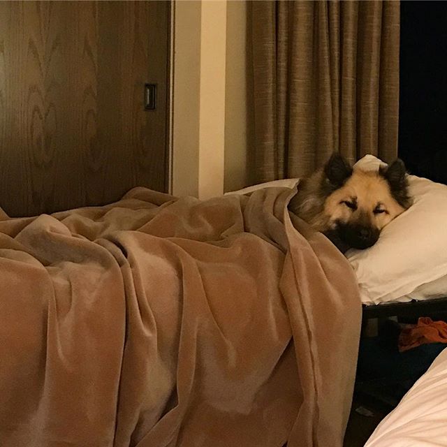 He called up the front desk and ordered himself a rollaway bed.