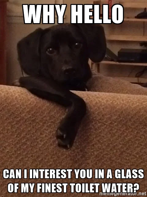 68345481.jpg