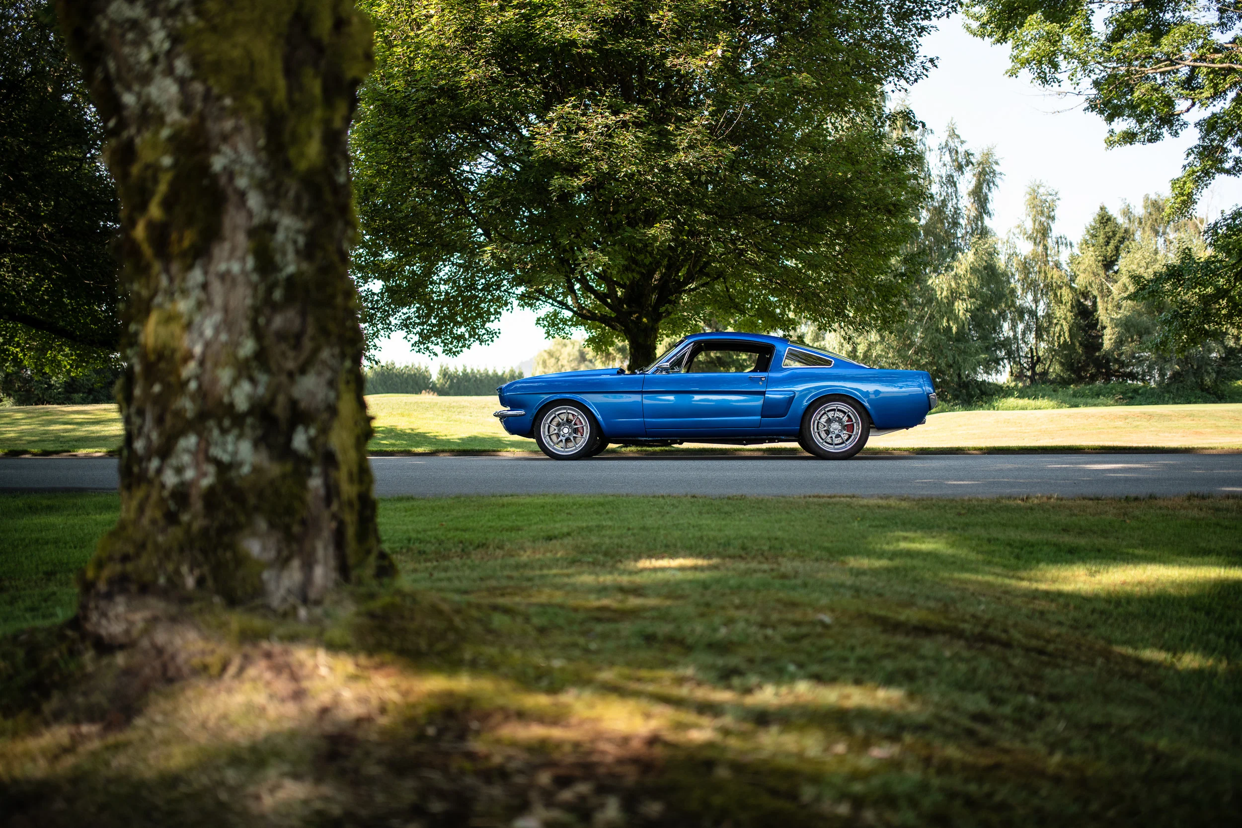 MB1_3784-Edit.jpg