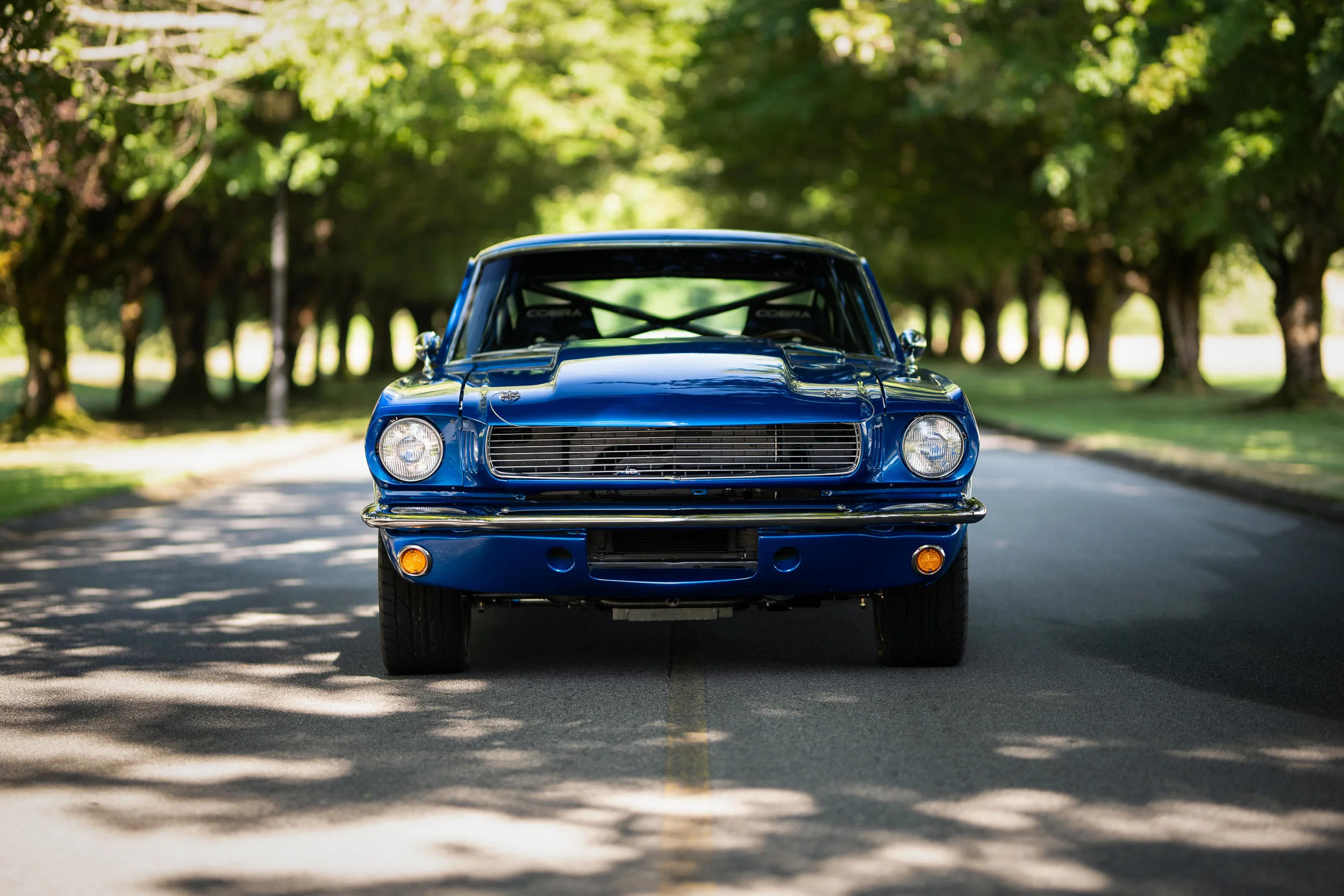 MB1_3855-Edit.jpg