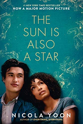 The Sun Is Also A Star Book