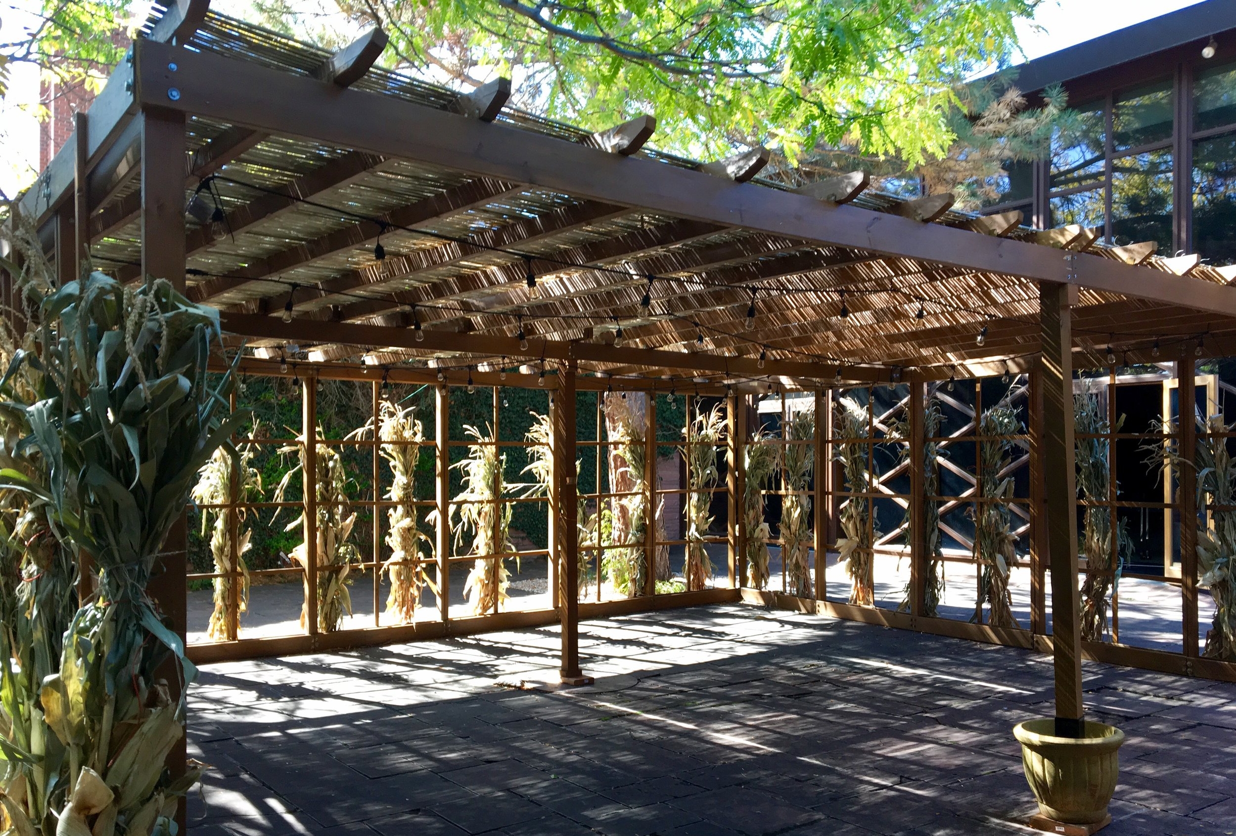 sukkah.jpg