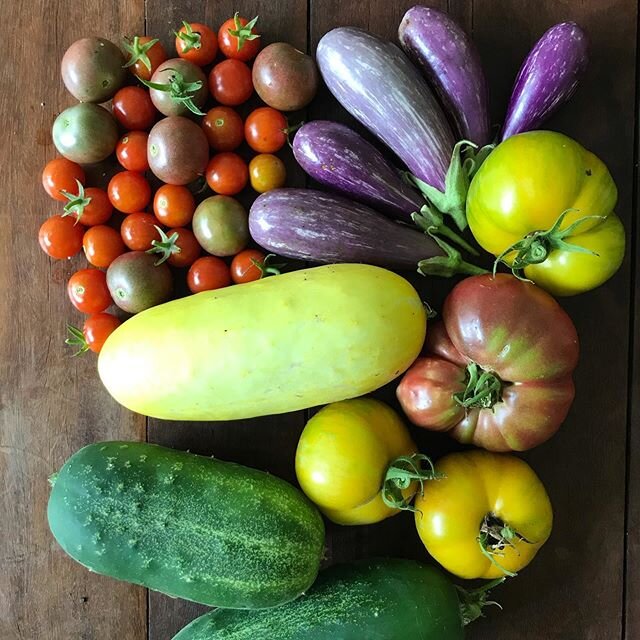 Sunday FunDay! A little backyard harvest with some hand holding from @fullnessfarm and lots of daily love from @saragoham 🌶 I spy some gazpacho! So we&rsquo;ll cook up a Spanish themed menu for Father&rsquo;s Day. What to make with five fairytale eg