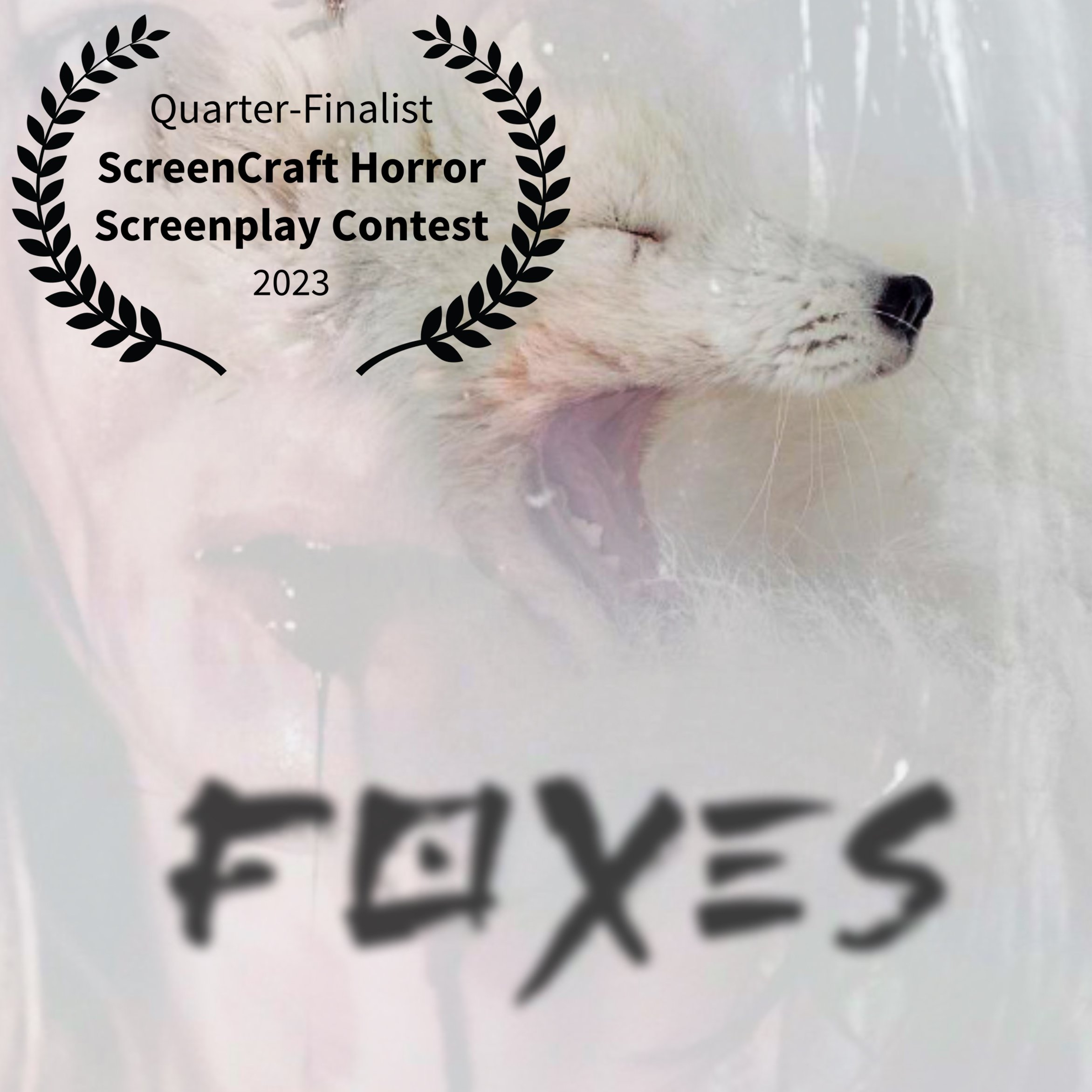 Screencraft Foxes v2.jpg