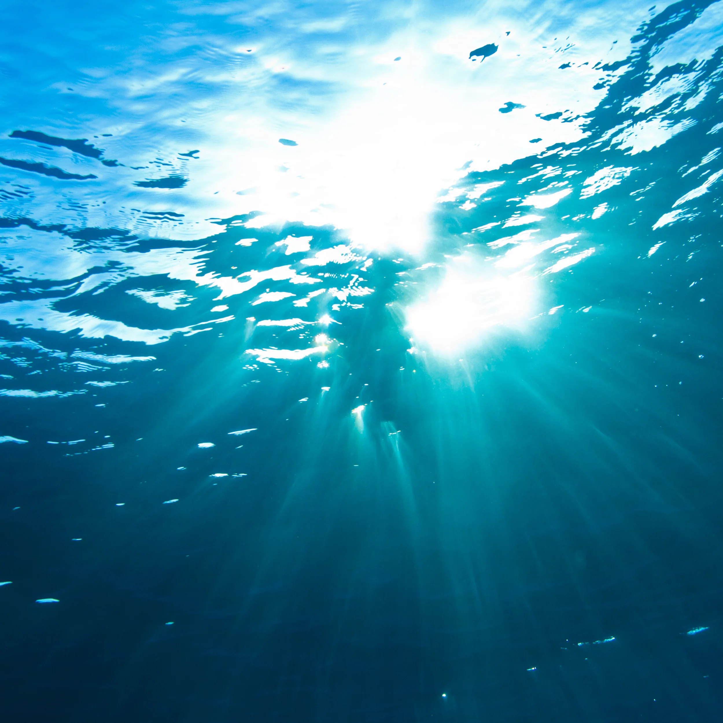 shutterstock_99919712.jpg