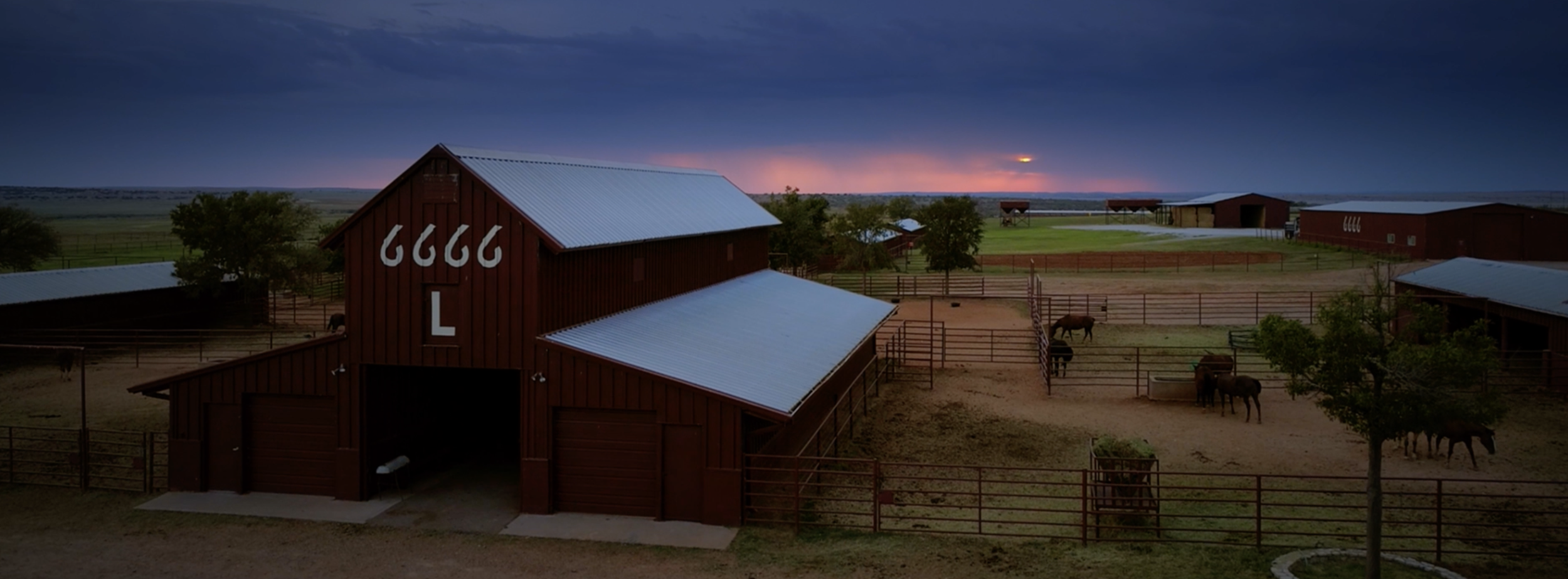 6666 GRIT & GLORY Beer