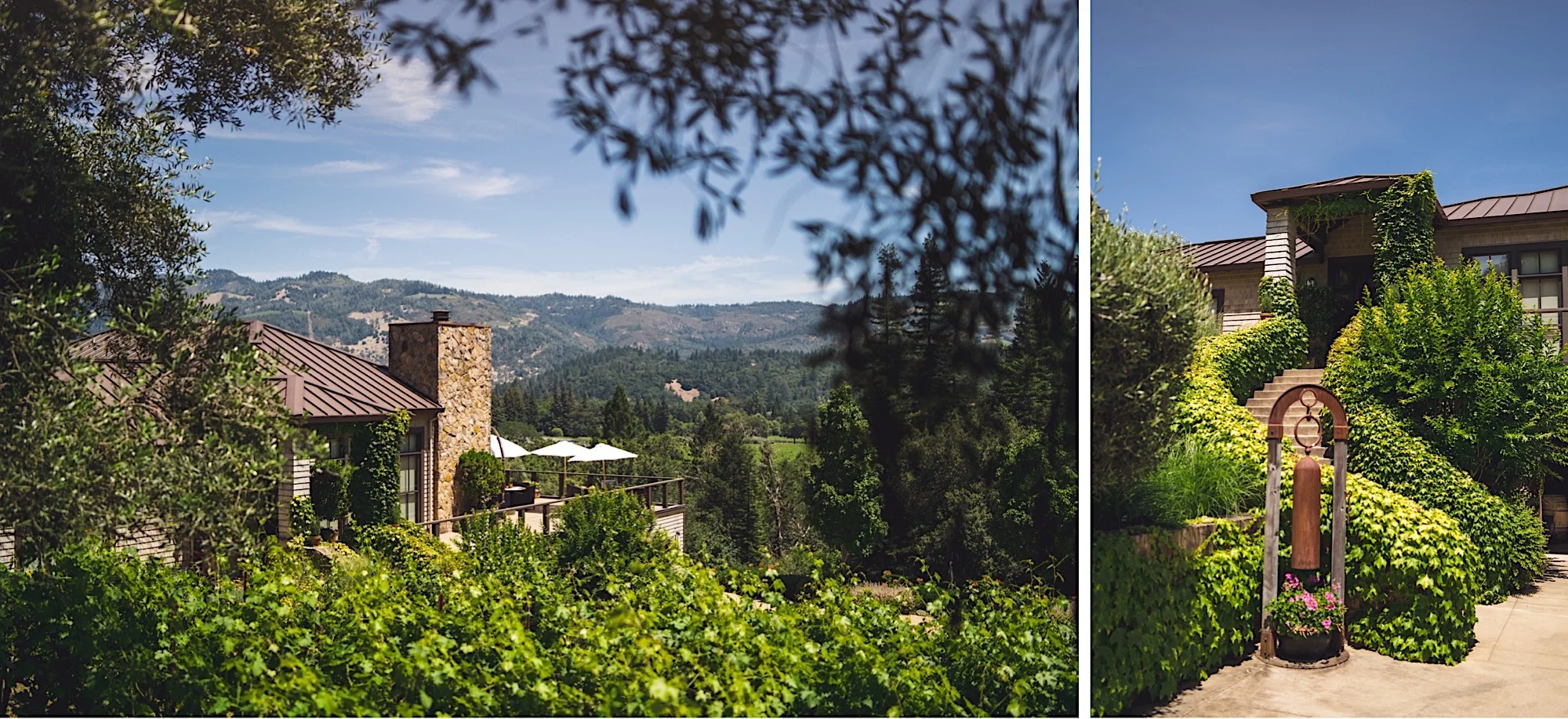 02_Napa_photographer.jpg