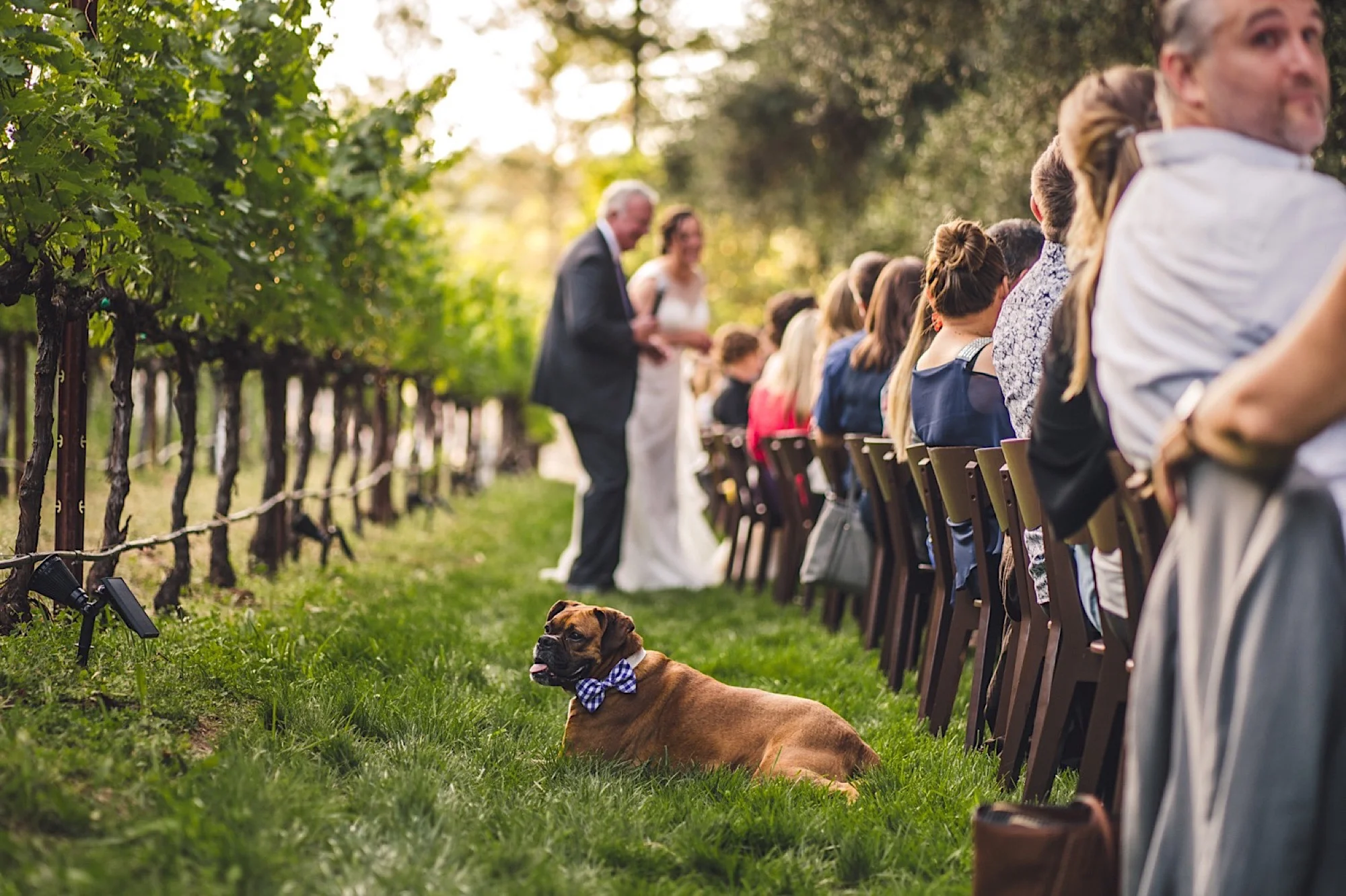 38_wedding_Taco.jpg
