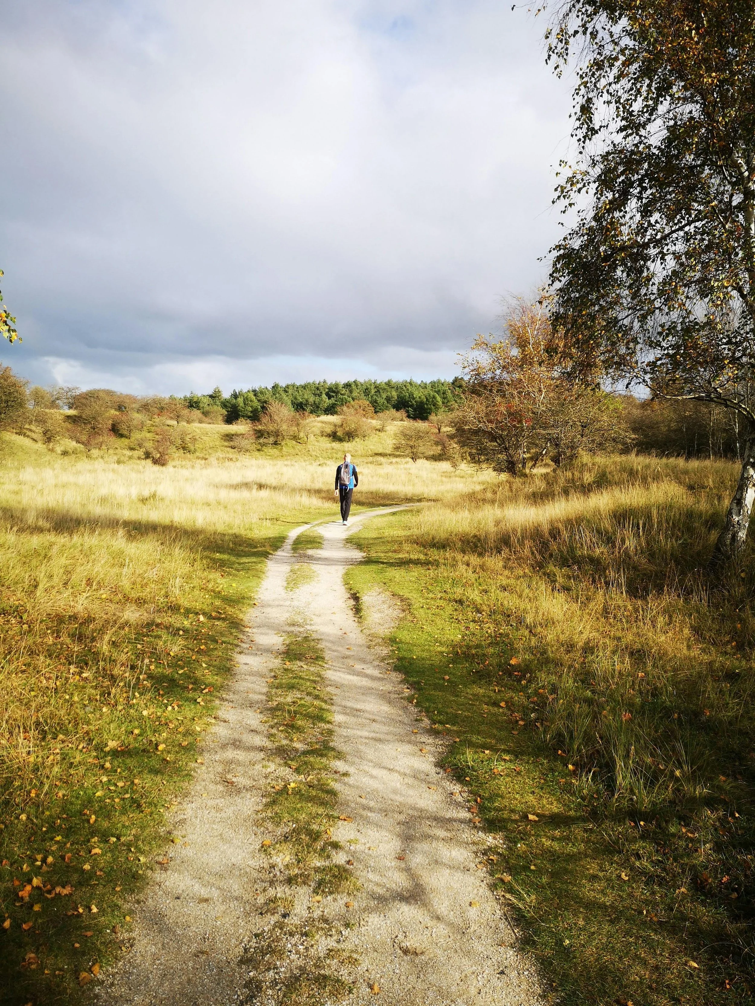 How to Build Healthy Habits into Your Daily Life