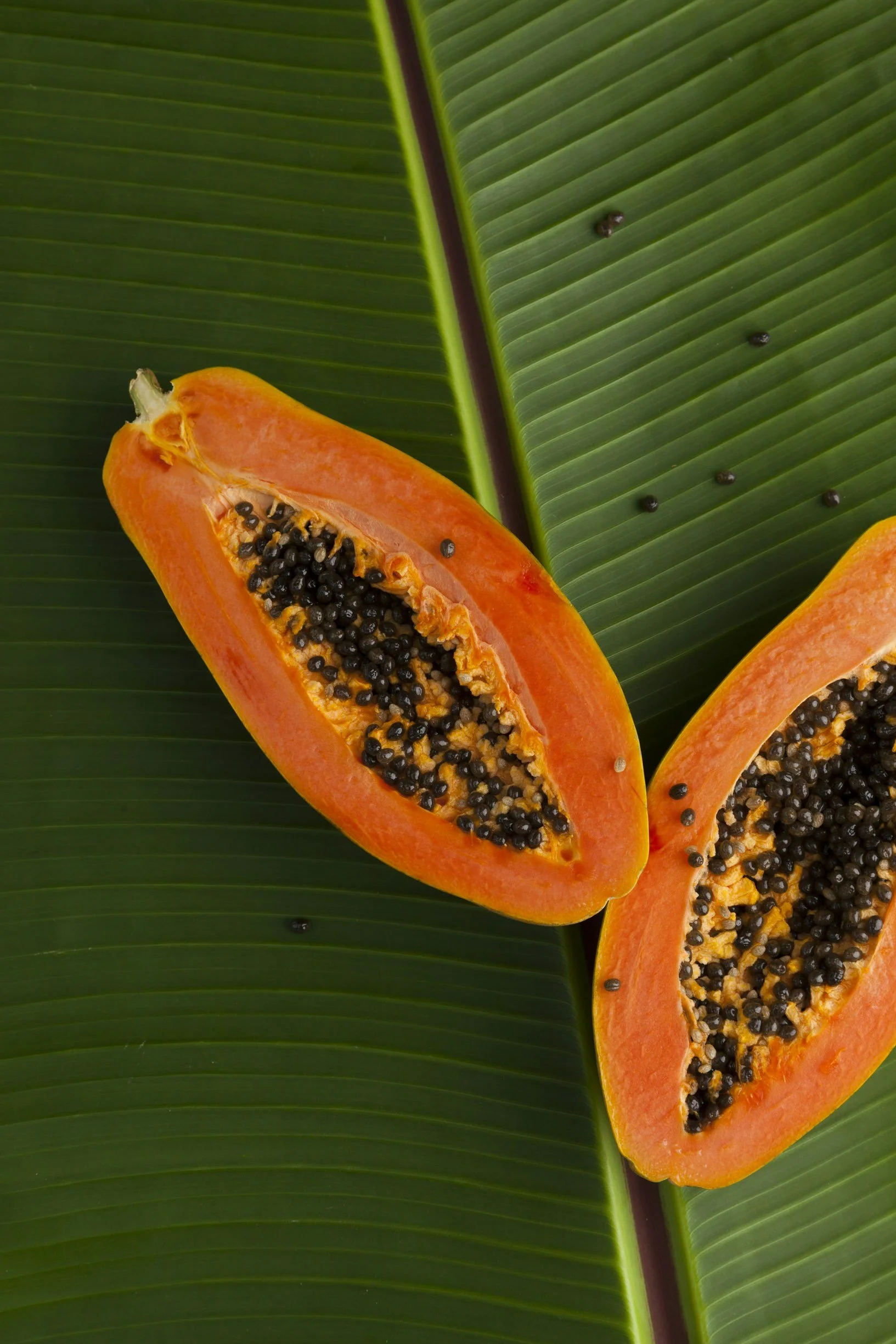 Digestive Enzymes: How They Support Nutrient Absorption and Digestive Health