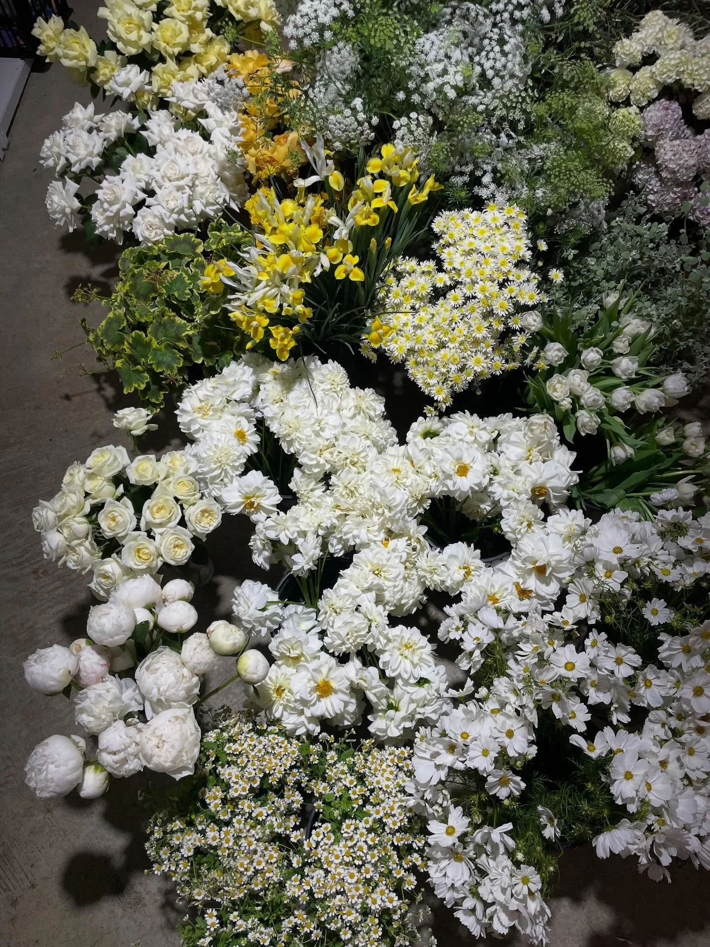 It&rsquo;s all in the selection of fleur 🌼 🤍🌱MARCO + NADINE  Styling and design @simply.seated