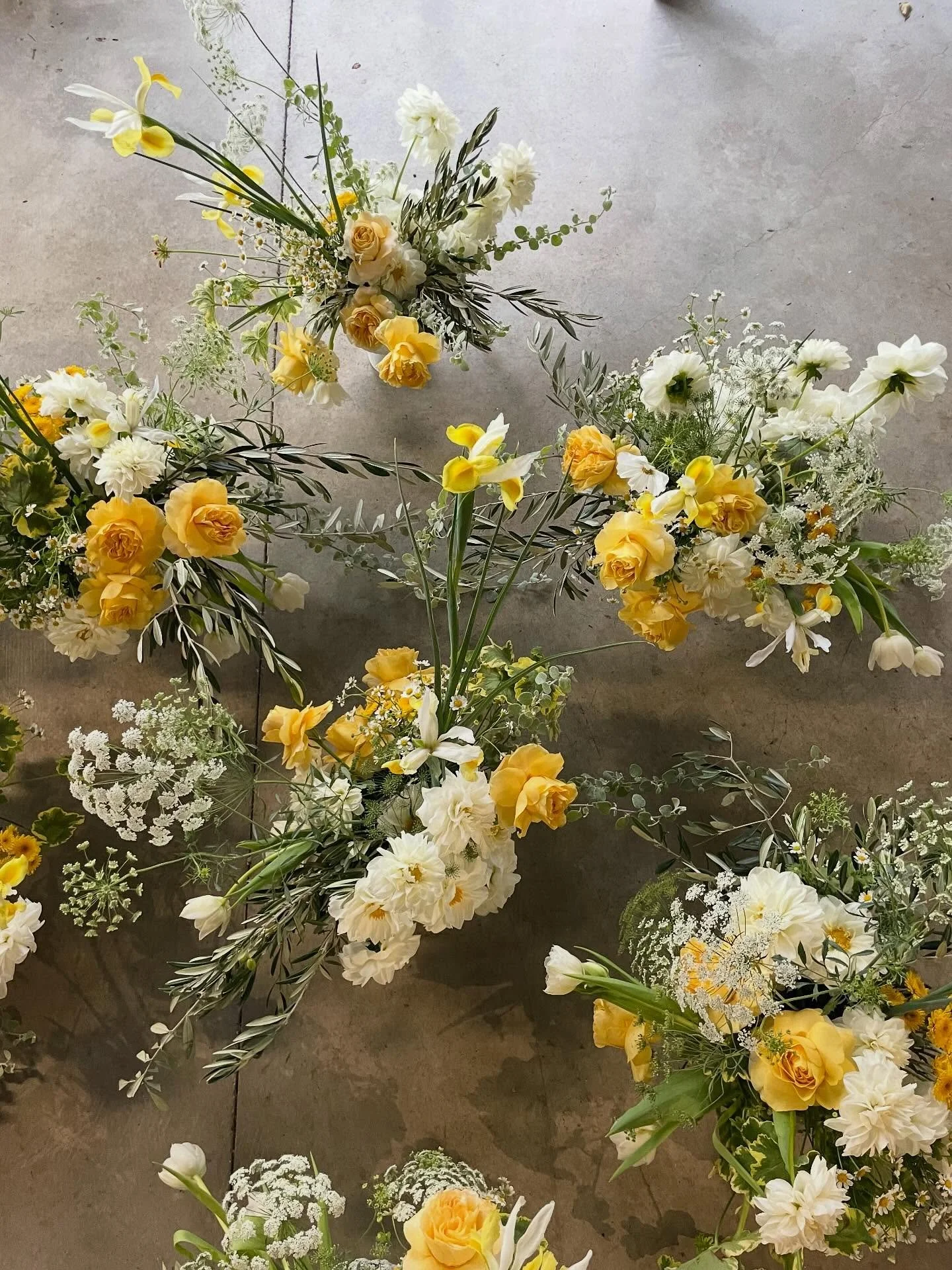 MARCO + NADINE 💛 ACO on the Pier