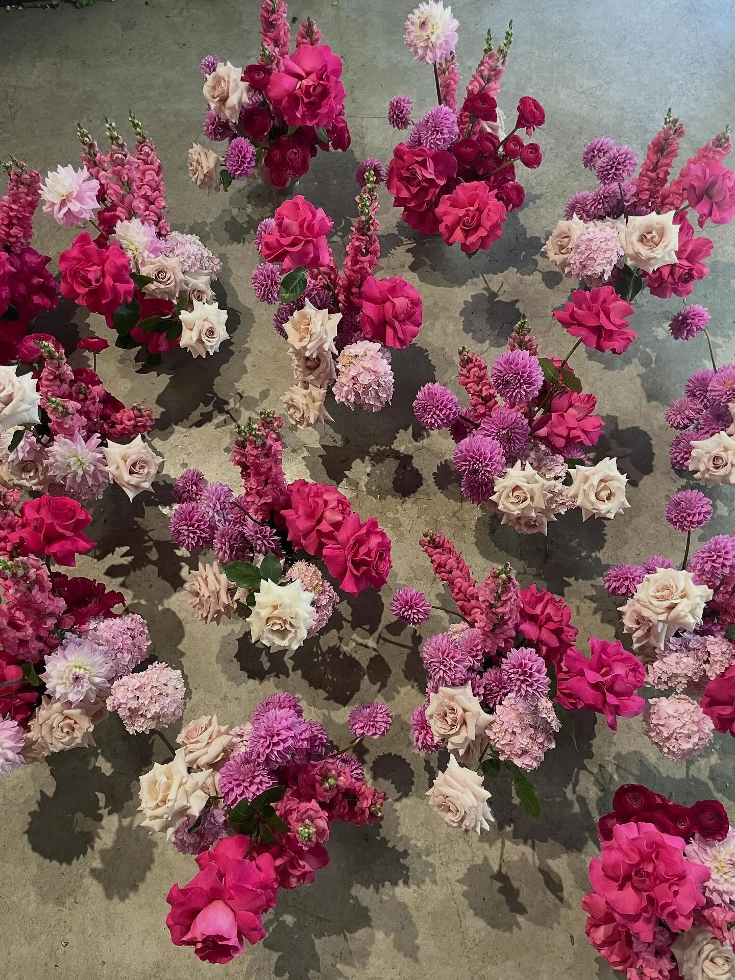 You can never have too many pinks right?! 👙🐖🩷🦩