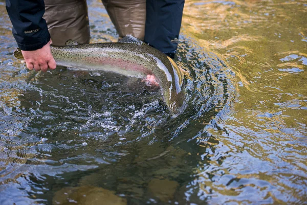 bogie_fishing_032.jpg