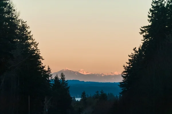 ForksLodge_2016_357_WEB.jpg
