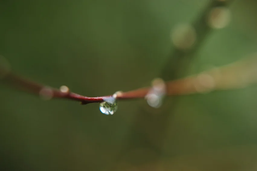 20190403__RKR3890.jpg